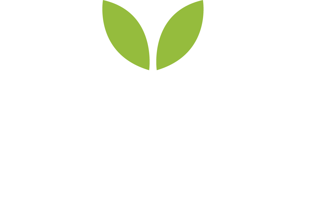 cifsa.com.ar
