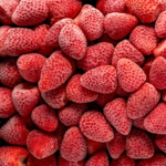 Frutilla Entera · IQF — Entera